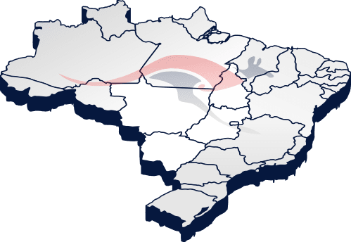São Luiz Express Transporte de cargas e encomendas Home 20 São Luiz Express Transporte de cargas e encomendas sao luiz express arte mapa do brasil